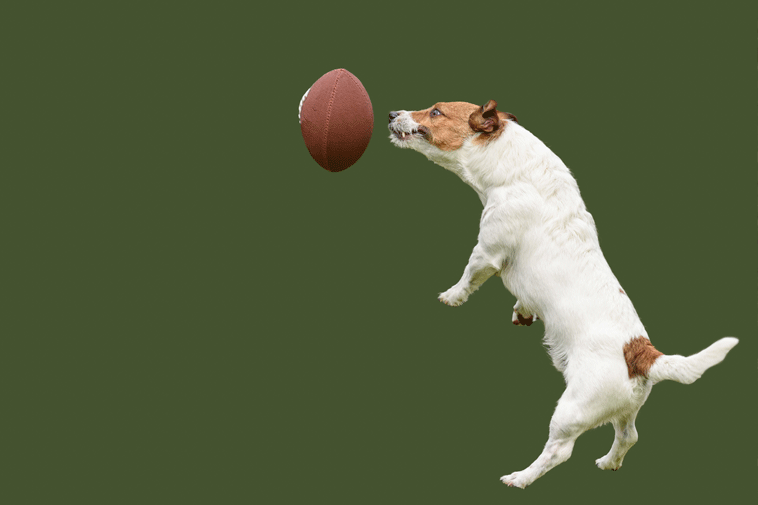 Week 9 Underdog Picks